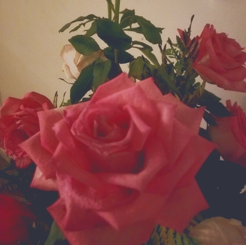 Meet your Posher, Andrea